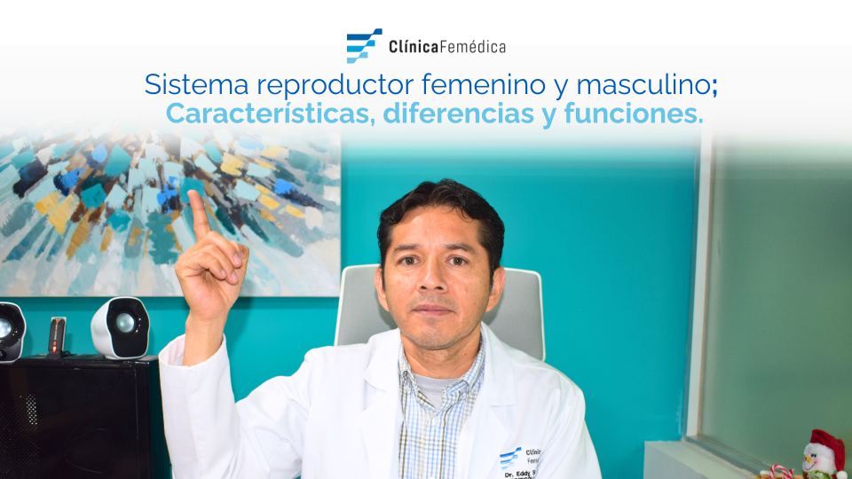Sistema reproductor femenino y masculino; Características, diferencias y funciones.
