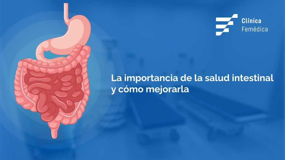 La importancia de la salud intestinal y cómo mejorarla